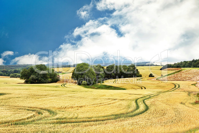 Landschaft im Sommer 657 h