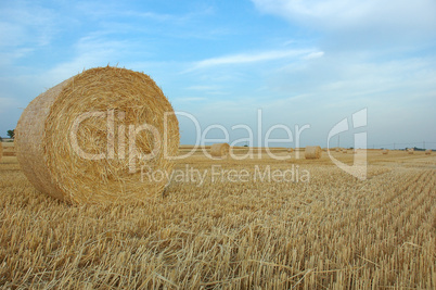 Straw bale