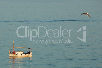 Bird and boat