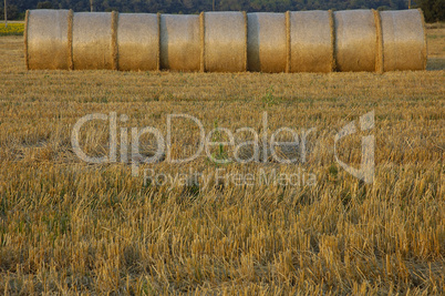 Straw bales