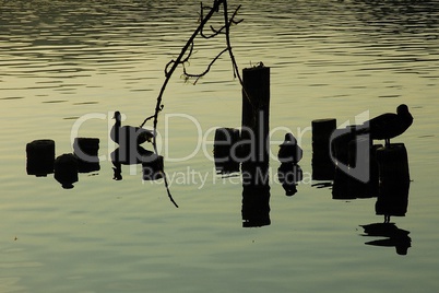 Banyoles lake