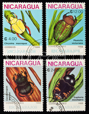 Beetles stamps collection.