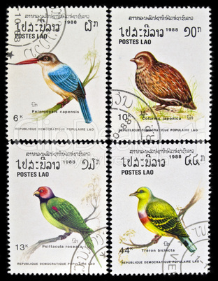 Collection of birds stamps.