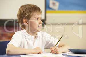 Schoolboy Studying In Classroom