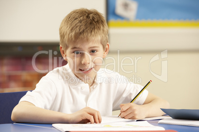 Schoolboy Studying In Classroom