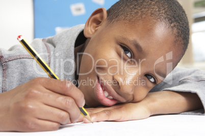 Schoolboy Studying In Classroom