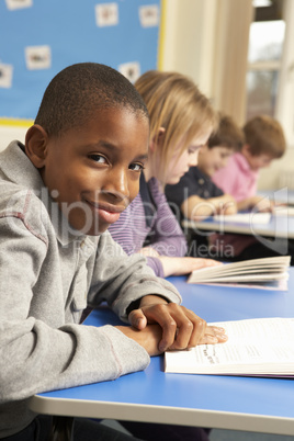 Schoolboy Reading Book In Classroom