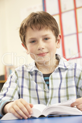 Schoolboy Studying Textbook In Classroom