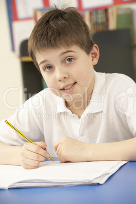 Schoolboy Studying In Classroom