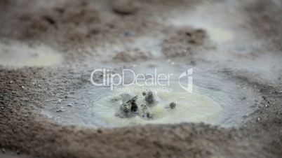 Steam Erupting from Underground Volcanic Springs