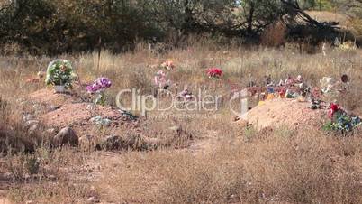 Cemetery graves weeds abandoned P HD 0254