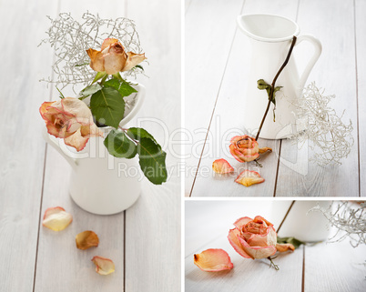 Rosen Collage - Roses Collage