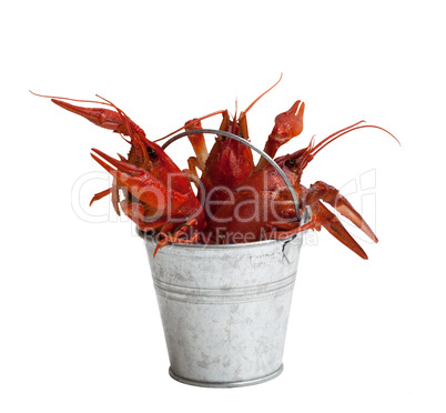 Tin bucket of boiled crawfish