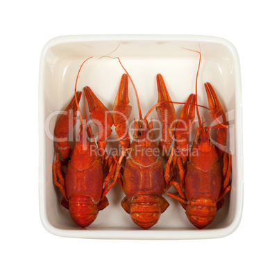 Three boiled crawfish in ceramic dish