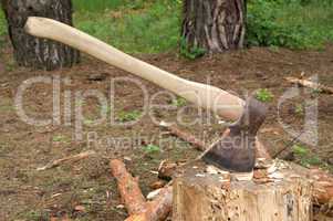 Axe in stump in the clearing in woods