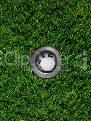 Artificial Grass