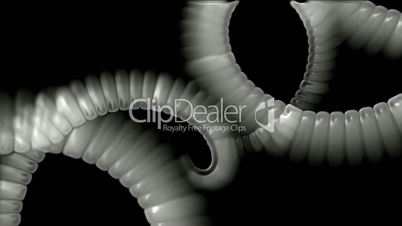 swirl smoke chain stripe ribbon,hairy curve,spiral DNA strand,alien tail body.