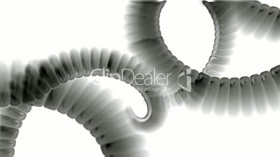 swirl smoke chain stripe ribbon,hairy curve,spiral DNA strand,alien tail body.