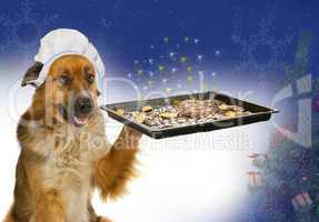 Hund mit Kochmütze serviert Kekse