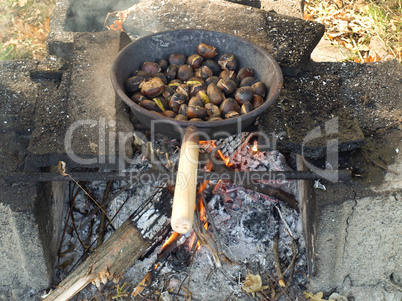 Barbecue picture