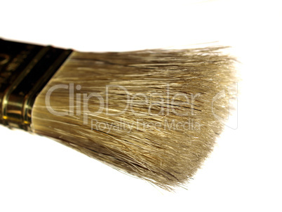 Brush picture