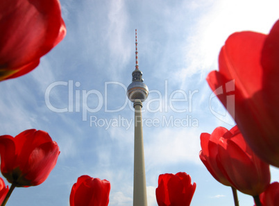 TV Tower, Berlin