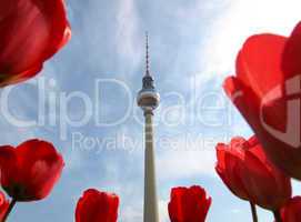 TV Tower, Berlin