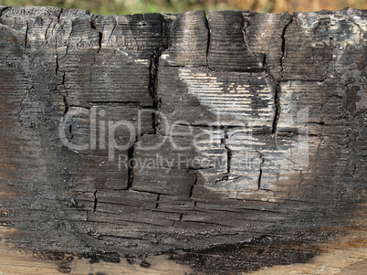 Burned wood