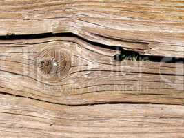 Wood picture