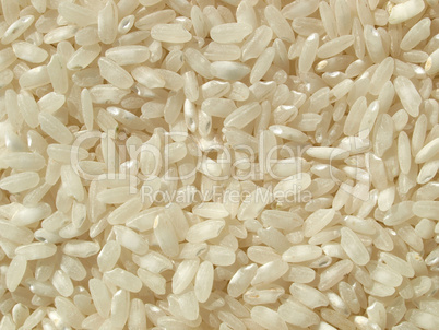 Rice picture Rice picture