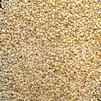 Sesame seeds