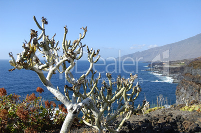 El Hierro