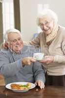 Senior Couple Enjoying Meal Together