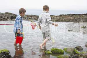 Two boys collecting shells on beach