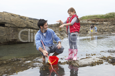 Family with seaweed