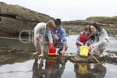 Young family at beach collecting shells