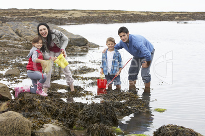 Young family at beach collecting shells