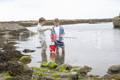Two boys collecting shells on beach