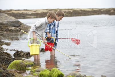 Two boys collecting shells on beach