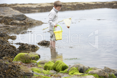 Boy on beach collecting shells