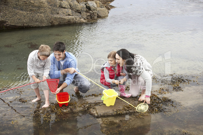 Young family at beach collecting shells