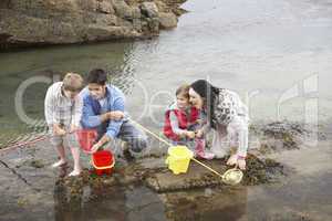 Young family at beach collecting shells