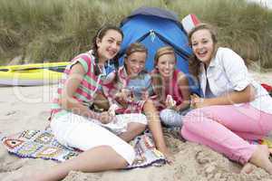 Teenagers having picnic