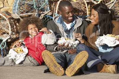 Happy family having picnic