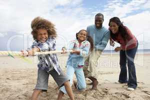 Family playing tug of war on beach