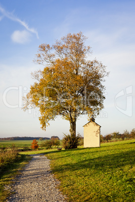 autumn scenery