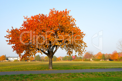 Herbst