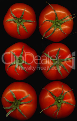 six tomatoes view from the top over black