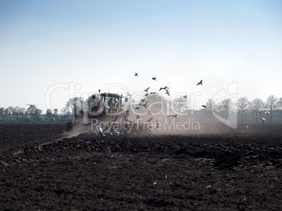 seagulls fly on tractor