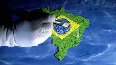 Brazil map, artist, time lapse